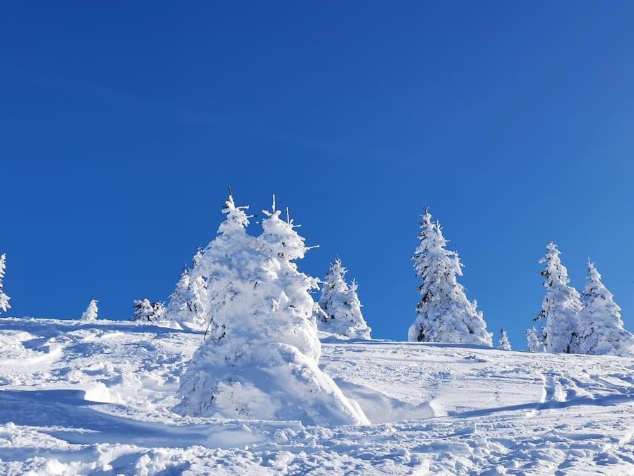 Willa La Tour En Belledonne Theys Zewnętrze zdjęcie