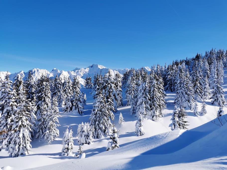 Willa La Tour En Belledonne Theys Zewnętrze zdjęcie