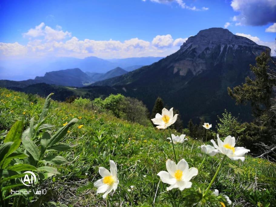 Willa La Tour En Belledonne Theys Zewnętrze zdjęcie